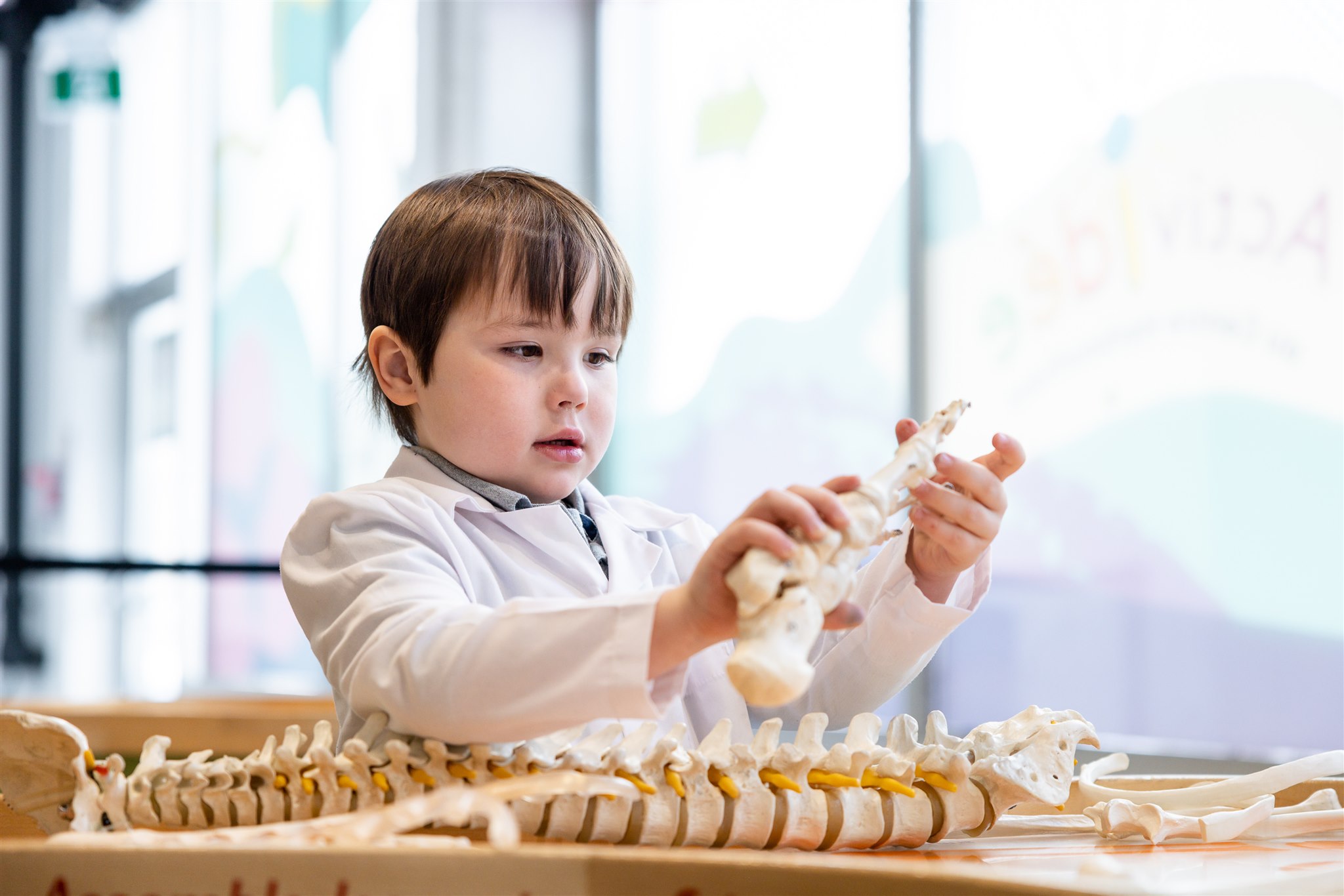 A kid playing with toy human bones.