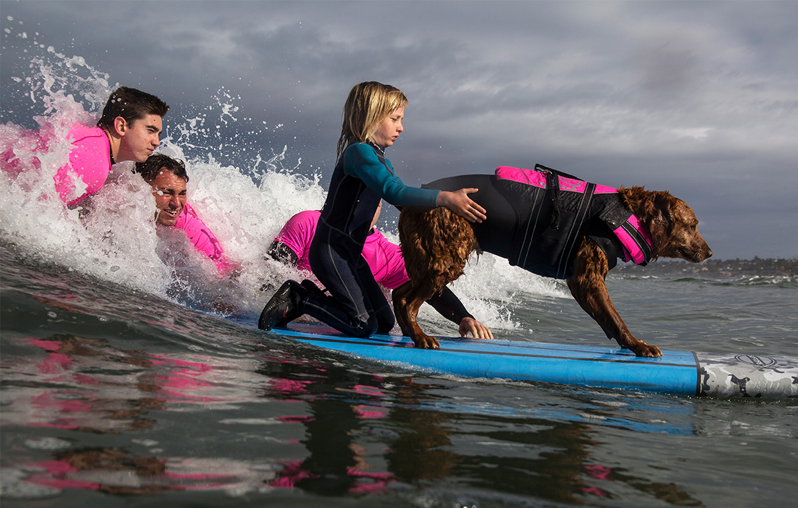 Un chien et une petite fille se tiennent sur une planche de surf.