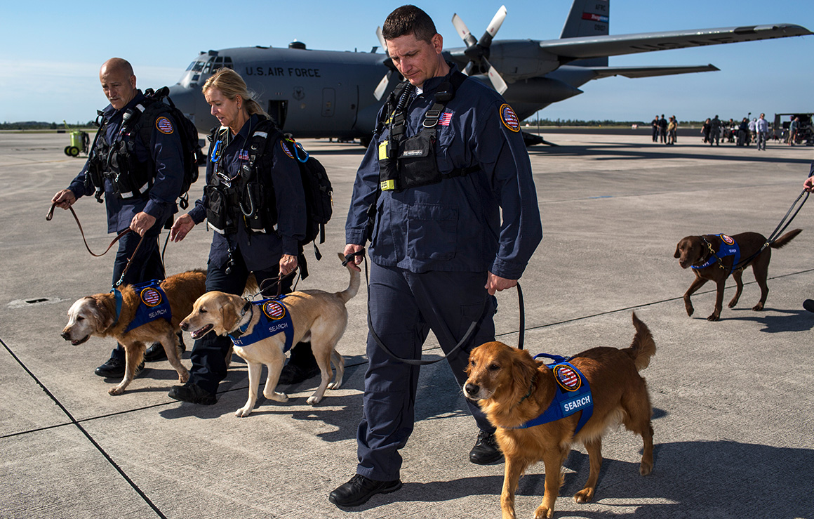Des membres des forces armées avec leurs chiens.