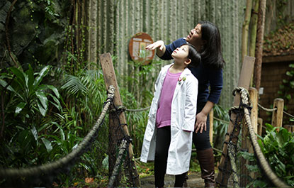 Un enfant en sarrau et un adulte admirent la forêt tropicale de la Terre vivante.