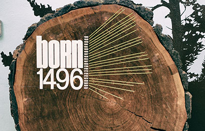 Un module du Chemin de la forêt montrant l'âge d'un immense tronc d'arbre.