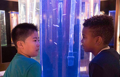 Deux garçons explorent le Centre d'Innovation de la famille Weston.