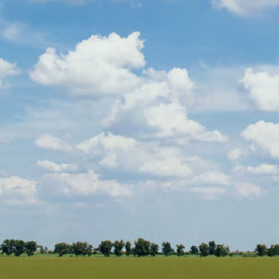 Un paysage de plaine sous un grand ciel bleu aux nuages blancs, où des arbres se trouvent à l'horizon.