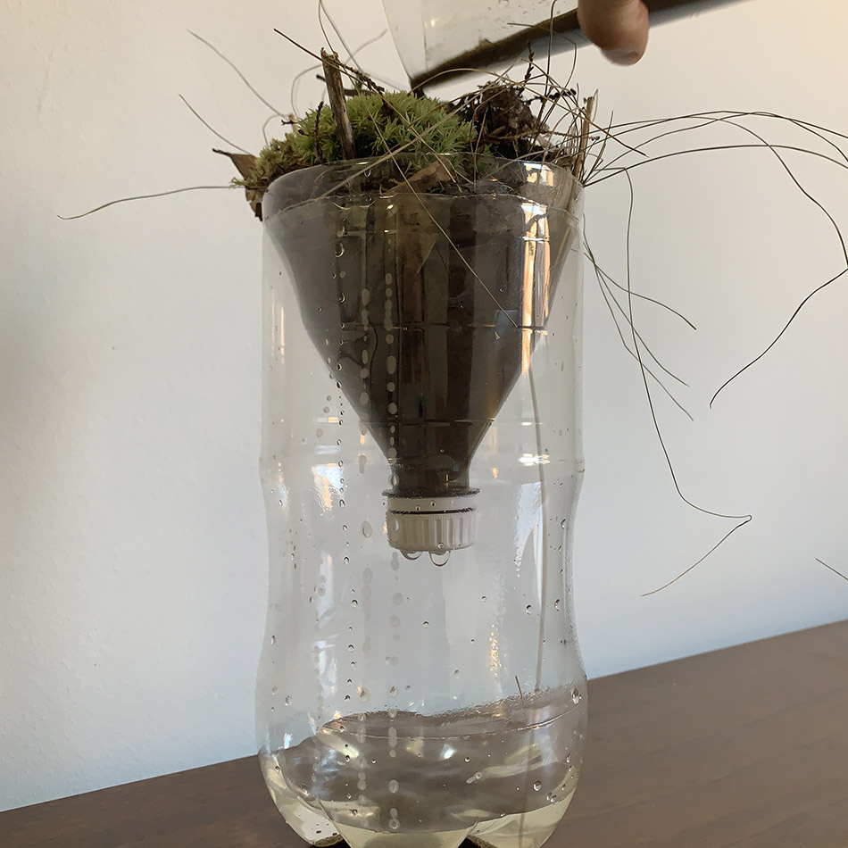 A completed wetland in a bottle