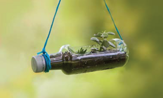 Une jardinière-bouteille suspendue.