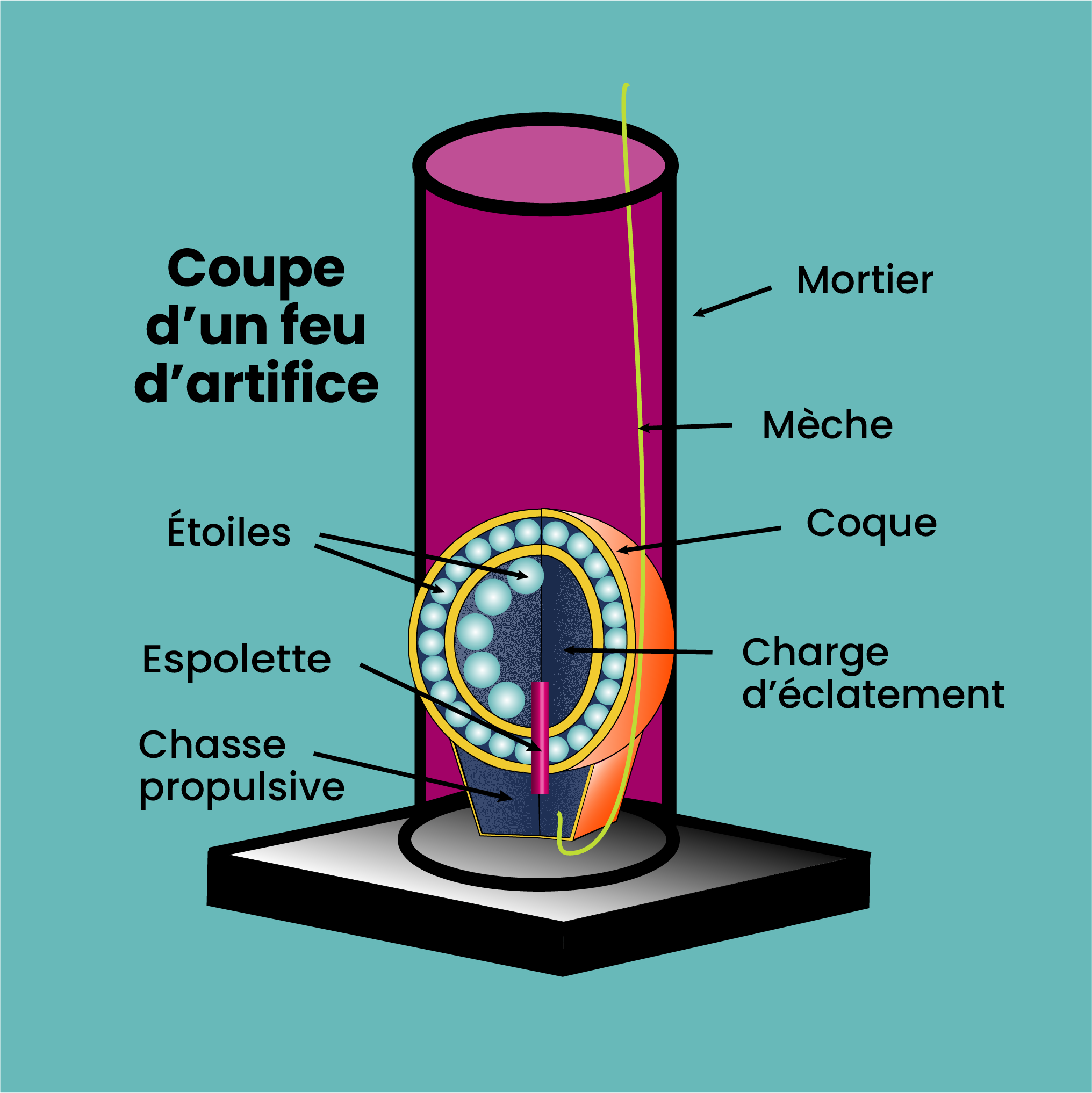 Coupe d'un feu d'artifice