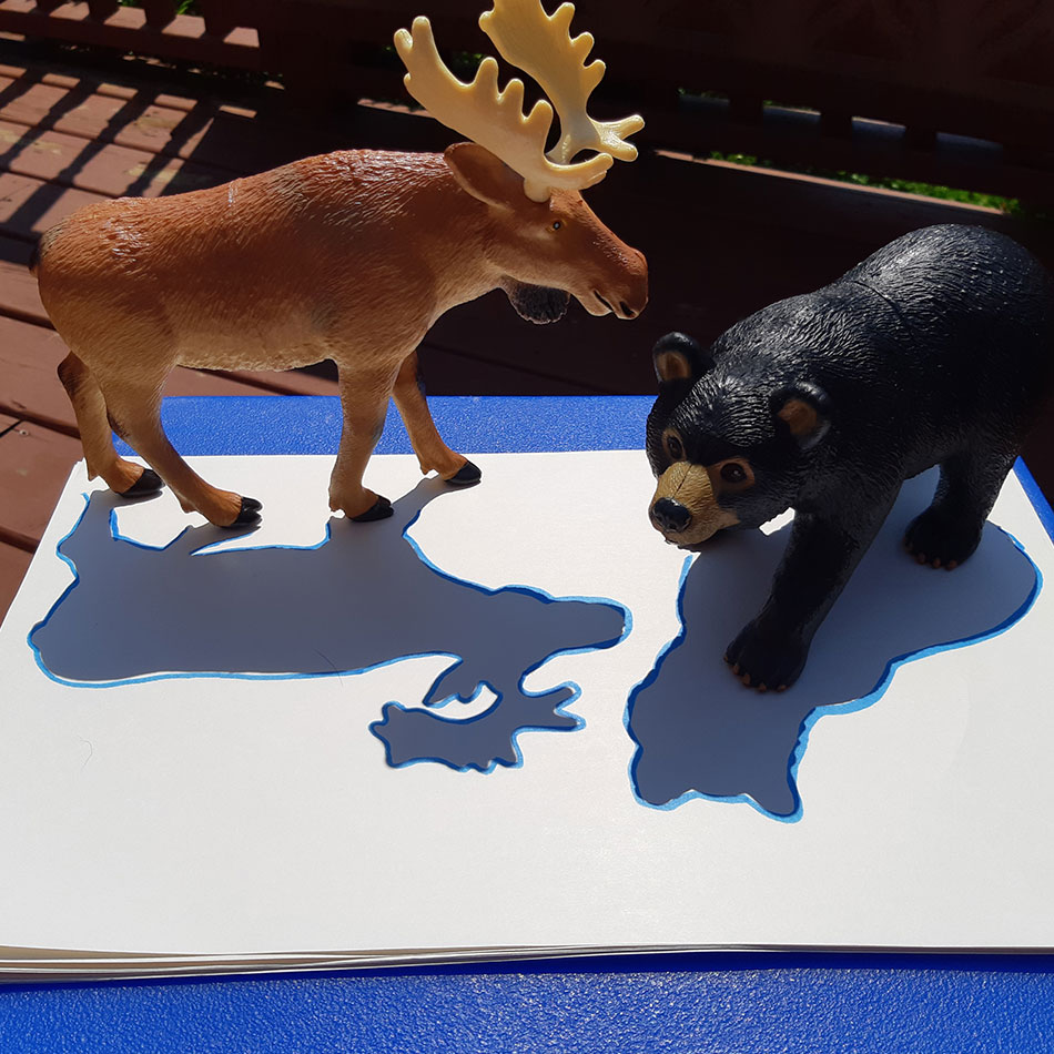 Des jouets en plastique projètent leurs ombres.