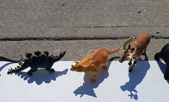 Plastic toys casting shadows.