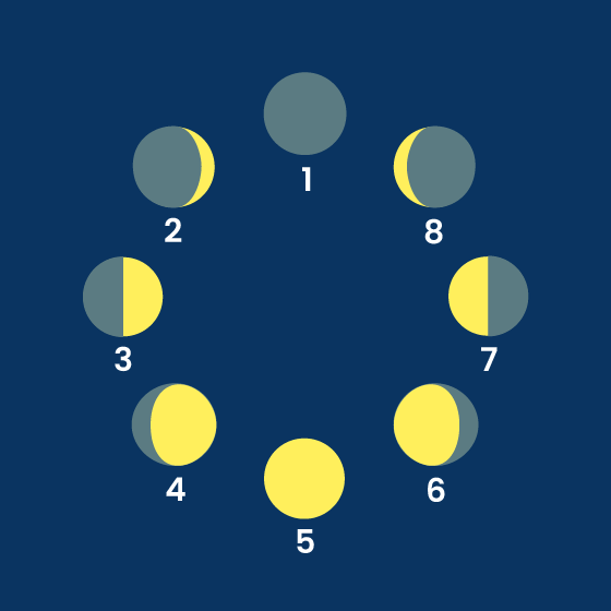 Dessin des 8 phases de la Lune.