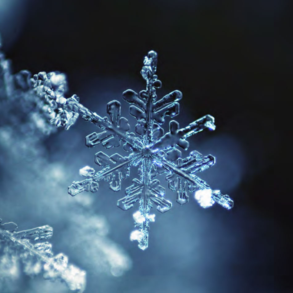Un flocon de neige en gros plan.