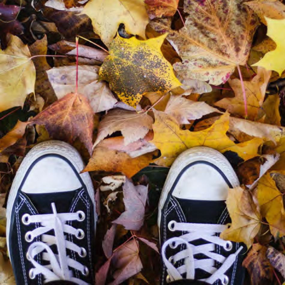 Une paire de chaussures piétinant une pile de feuilles mortes.