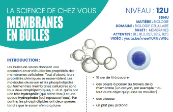 Image of instructions in a PDF fromat, Membranes en bulles