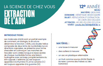 Image des instructions en format PDF, Extraction de l'ADN