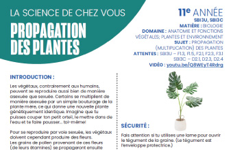 Image des instructions en format PDF, Propagation des plantes