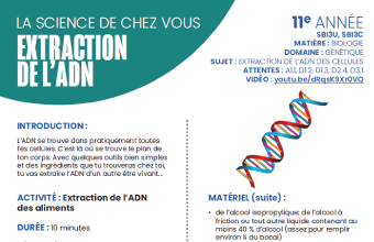 Images des instructions en format PDF Extraction de l'ADN