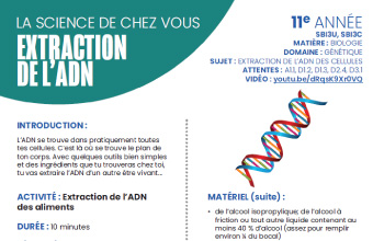 Extraction de l'ADN