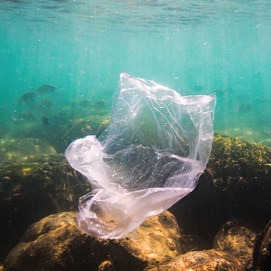 Un sac en plastique traînant près du fond de l'océan.