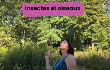 Une éducatrice se promène à l'orée d'un bois, prêtant l'oreille; les mots «insectes et oiseaux» sont affichés à l'écran.