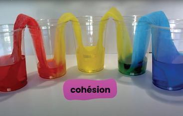 5 verres alignés sur un comptoir contiennent des liquides de couleurs différentes : rouge, orange, jaune, vert et bleu, alors que le mot «cohésion» est affiché devant; une bande d'essuie-tout trempe dans chaque verre, les reliant ensemble et absorbant les couleurs.