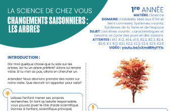 Image des instructions en format PDF, Changements saisonniers : les arbres