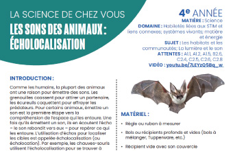 Image des instructions en format PDF, Les sons des animaux