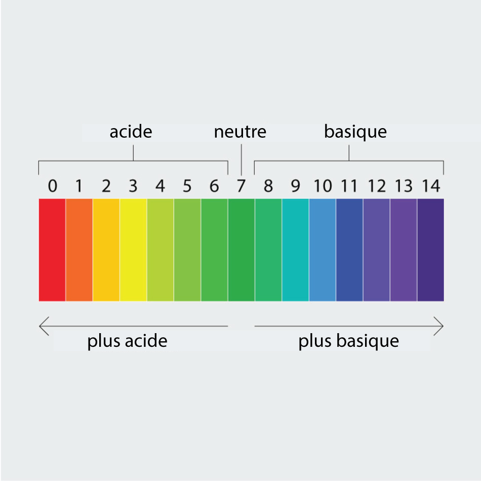 Échelle multicolore de l'acidité et de l'alcalinité
