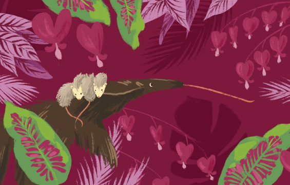 Illustration sur un fond rose agrémenté de plantes d'un fourmillier avec quatre phalangers - petits opossums - sur le dos.