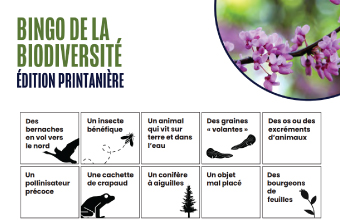 Carte du bingo de la biodiversité