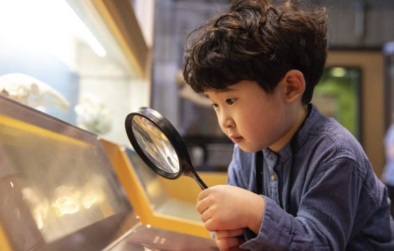 Un jeune enfant examine un module d'exposition à la loupe.