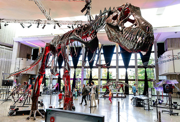 Une sculpture de Tyrannosaure en métal.