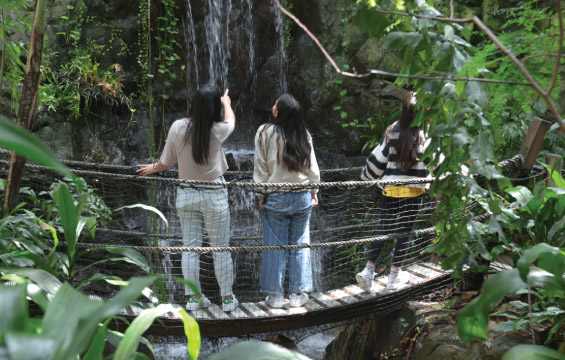 Trois élèves debout sur un pont regardent la cascade de la forêt tropicale.