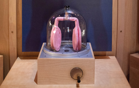 Le modèle de poumons d'un module d'exposition.