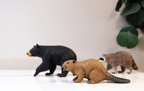 Un ours noir, un castor et un raton laveur en plastique.