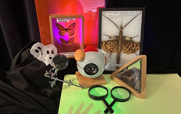 Loupes et modèles d'insectes.