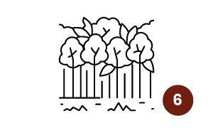 Icône de la section n° 6