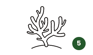 Icône de la section n° 5