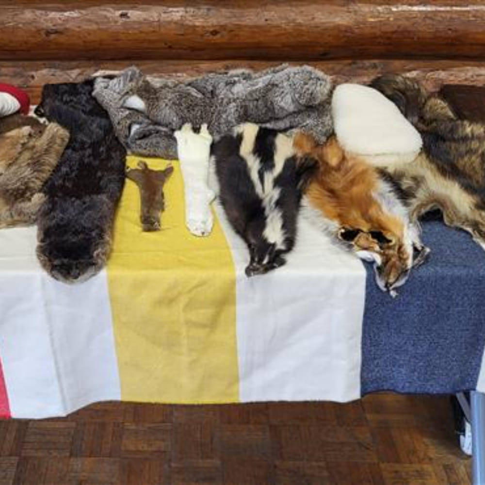 Animal Pelts