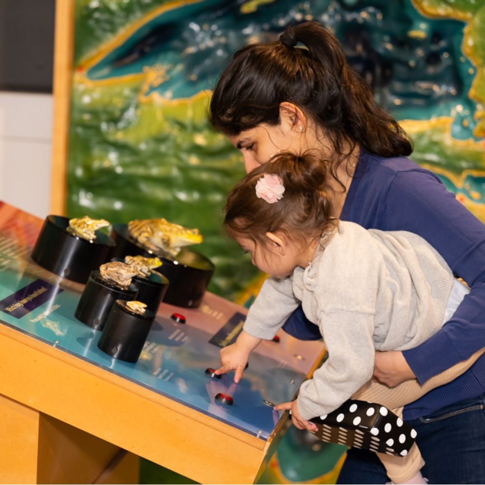 Un enfant et sa mère appuient sur des boutons sur la table.