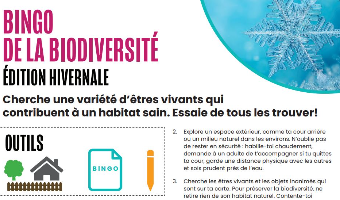 Capture d'écran du Bingo d'hiver.