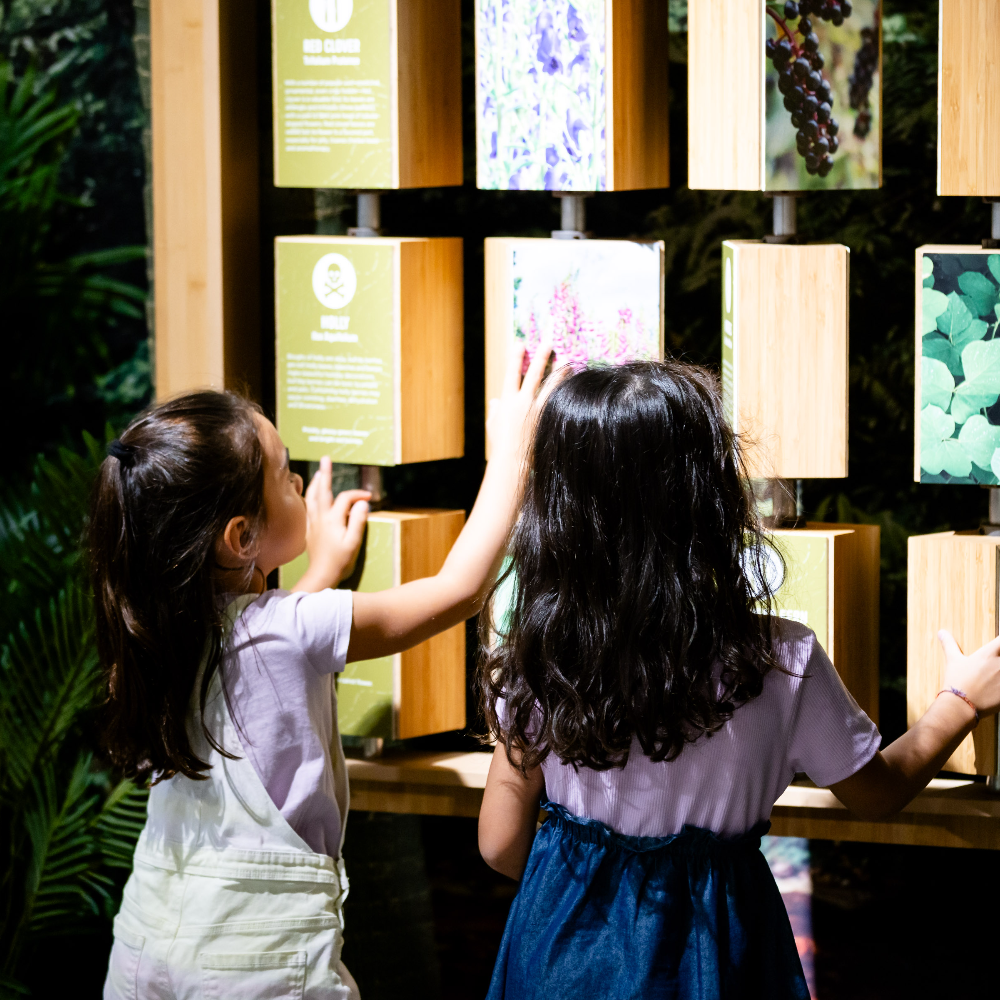 Deux filles lisant les instructions sur une exposition.